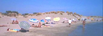 Espiguette beach, Languedoc