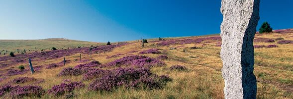 Lozere department, Languedoc