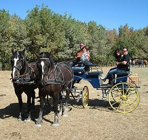Quad bike in the Camargue