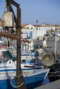 Port Camargue
