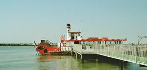 Tikki III, the Camargue