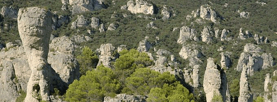 Cirque de Moureze