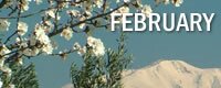 February