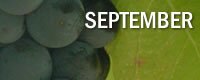 September