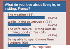 Vote in our Opinion Polls section